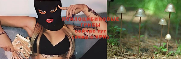 apvp Абдулино