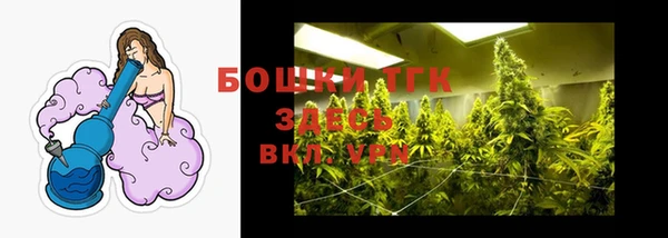 дурь Пересвет