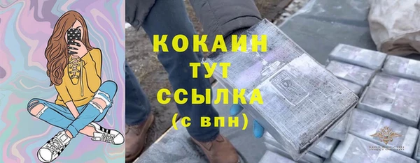 дурь Пересвет