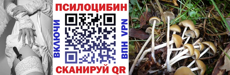 закладка  blacksprut зеркало  Галлюциногенные грибы Psilocybe  Ртищево 